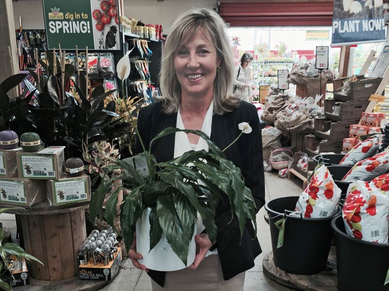 Karen Barnett with an anthurium plant all set for delivery.